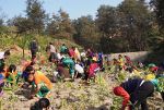 山田養蜂場がネパールで植樹祭　社員ら、在来種の苗木８千本