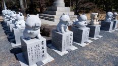 【恋愛・健康】十二支守護石像（岡山市、龍泉寺）