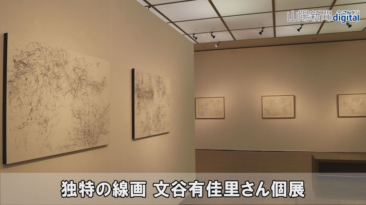躍動感あふれる独特の線画１４点　奈義、岡山出身の文谷さん個展