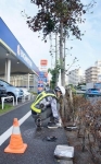 東京都、街路樹枯れで被害届提出　ビッグモーター巡り、９カ所