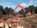 国有林のスギ、ヒノキ伐採本格化　戸川木材、新見で「樹木採取権」