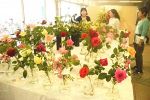 バラ色鮮やか 愛好家丹精１５０点　岡山市役所で春の展示