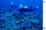 辺野古サンゴ、割合低下　回復力遅く、保護団体調査