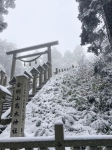 金剛山で初冠雪、大阪と奈良県境　昨年より３５日早く
