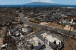 山火事の警報使用、５年前に要求　ハワイ住民、米報道
