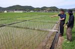 硫黄膜肥料 稲作実証試験で効果　脱プラへ県農業研究所 わせで確認