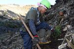 新庄村でスギ、ヒノキ植林本格化　村内事業者が専門部門、再造林急ぐ