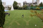 岡山芸術交流の芝生 移転先決まる　市公園協会が操山公園で活用