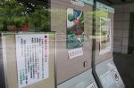 福山市で市有の公共施設休館　緊急事態宣言で人流抑制へ