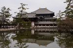 興福寺前の猿沢池で“敵討ち”⁉　神戸では超クールな安井仲治展