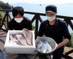 笠岡諸島の鮮魚を宅配　休業中の民宿が新事業