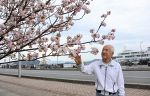 【備前】宇野港桜の会会長・小林文夫さん（８６）　工夫次第で魅力は花開く