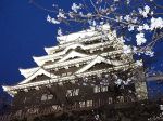 光に浮かぶ天守と夜桜の共演　福山城公園でライトアップ