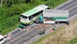 北海道で高速バス事故５人死亡　トラックが衝突、はみ出しか