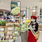 関西圏で岡山県産ブドウ販売強化　県、万博見据え２４年度から