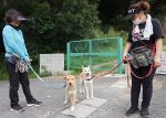 野犬訓練し譲渡 岡山市対策に注目　３年で５７匹、人手確保に課題も