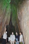 井倉洞集客 インスタグラム活用を　学生視点で多様な観光コース提案