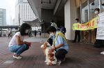 ペットの飼育、責任持って　動物愛護週間前に岡山で啓発