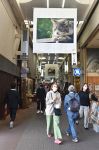 巨大アート写真 倉敷の商店街彩る　「ときめき」と「ねこ」テーマ