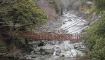 徳島の「祖谷のかずら橋」３年ぶり架け替え　海外でも知名度、観光客回復に期待