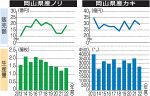 養殖ノリ過去２番目の少なさ　岡山県生産量 カキは前年度下回る
