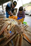日本海でズワイガニ漁が解禁　富山以西、冬の味覚を初水揚げ