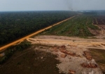 アマゾン熱帯林消失、前年比半減　２３年、ブラジルが保護強化