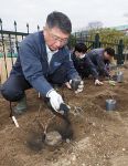 バイオマス発電の木炭 バラ栽培に　福山市など 生育の実証実験