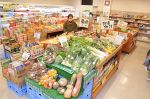 勝央「どんどん市場」初の収穫祭　２３～２６日、野菜や果物ＰＲ