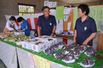 児童支援施設が農産物直売所開設　津山、１０月中旬までブドウ販売