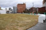 下石井公園の天然芝生化が完了　岡山市、３０日オープン