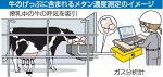 「低メタン牛」で温室効果ガス減　岡山県畜産研究所など育種加速
