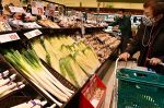 年末年始向け食材 安値傾向　県内スーパー、好天で野菜豊作