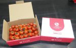 全国ミニトマト選手権で最高金賞　赤磐・橋本農園のフルーツトマト