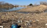 海ごみゼロへ 第２弾は笹ケ瀬川　３月１２日、清掃活動参加者募る