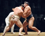 相撲、草野が男子重量級制覇　世界選手権、男子団体は日本がＶ