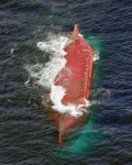 和歌山沖で貨物船衝突、２人不明　転覆、３人救助