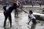 大人も子どもも泥まみれ、４年ぶり開催の「ガタリンピック」を楽しんだ