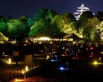 幻想庭園と灯源郷 来場３.２万人　改修の岡山城は１９年より１割増