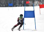 新見市長杯スキー大会が中止に　２月に予定、コロナ拡大防止で