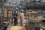 和気・旧大國家住宅を一般公開　参加者が構造や修理工法学ぶ