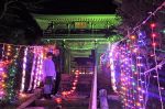 幻想的な光 津山・少林寺に彩り　児童らイルミネーション飾り付け