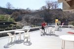 桜と石垣 鶴山公園の眺望楽しんで　津山文化センター 期間限定カフェ