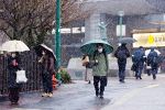 岡山県北 ２８日警報級大雪の恐れ　予想降雪量、山地で５０センチ