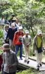 「皇居の森」で自然観察会　宮内庁、参加者募集