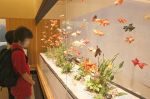 水槽泳ぐような金魚 実は工芸菓子　岡山・吉兆庵美術館 夏の展示