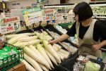 猛暑余波 野菜の品薄・高騰続く　岡山県内スーパー、１～５割高に