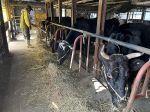 止まらぬ物価高 窮地の生活・産業（１）農業　飼料１.５倍 酪農断念