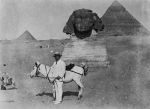 児島虎次郎の感動伝える資料　高梁でエジプト訪問１００年展