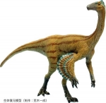 新恐竜はティラノサウルスもどき　９８年から発掘の化石、福井